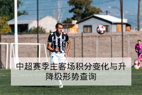 竞彩总进球数与让球盘口术语与风险说明